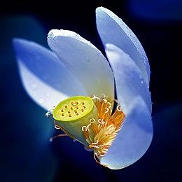 《堡垒之夜》官方推特暗示经典地图即将回归